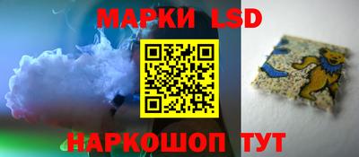 крисы Шебекино